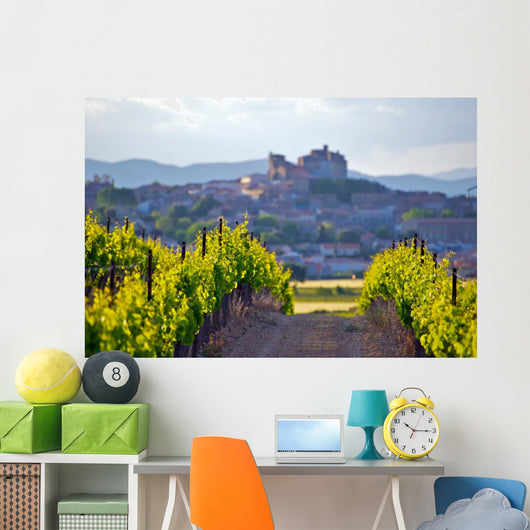 The Chateau of Puissalicon in the Languedoc Wall Mural