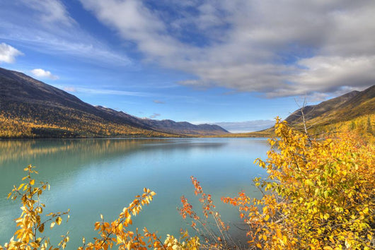 Fall foliage along Eklutna Lake in Chugach State Park Wall Mural