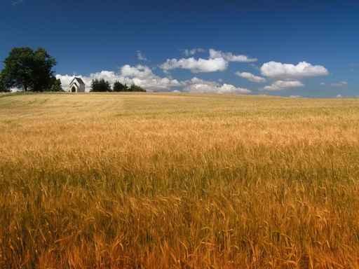 Summer Landscape Wall Decal Design 3