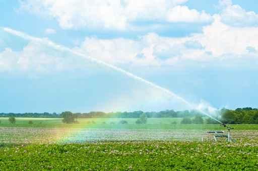 Water Spraying Crops Wall Decal