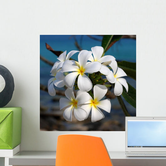 Plumeria Wall Mural