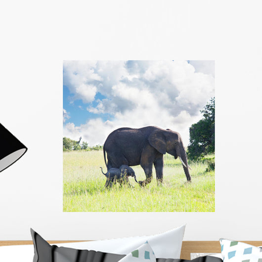 Elephant Wall Mural
