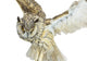 White- Brown Owl