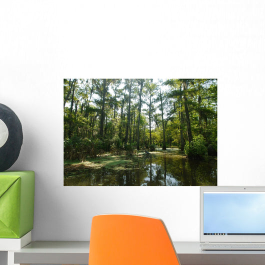 Marsh in New Orleans Wall Mural