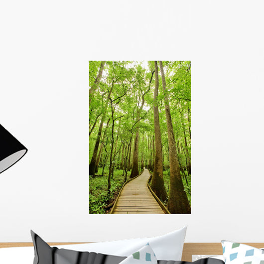 Bald cypresses in Congaree National park, South Carolina Wall Mural