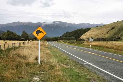 New Zealand Kiwi Warning Wall Decal