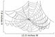 Simple Black Web Illustration Wall Mural
