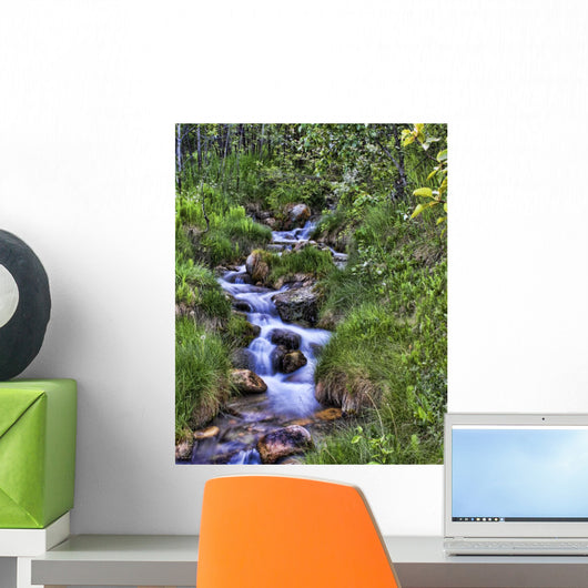 Mountain Stream Wall Mural