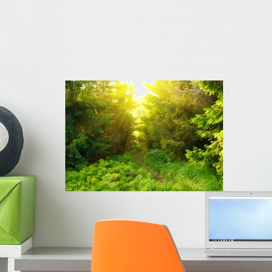 Green forest with sun ray Wall Mural