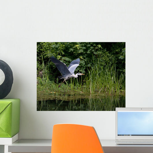 Bosherton Lily Ponds Wall Mural