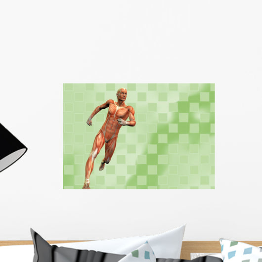 Muscle Man