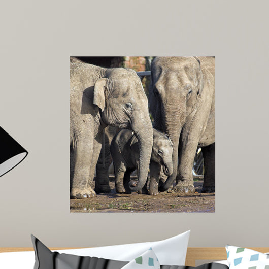 Protecting Baby Wall Mural