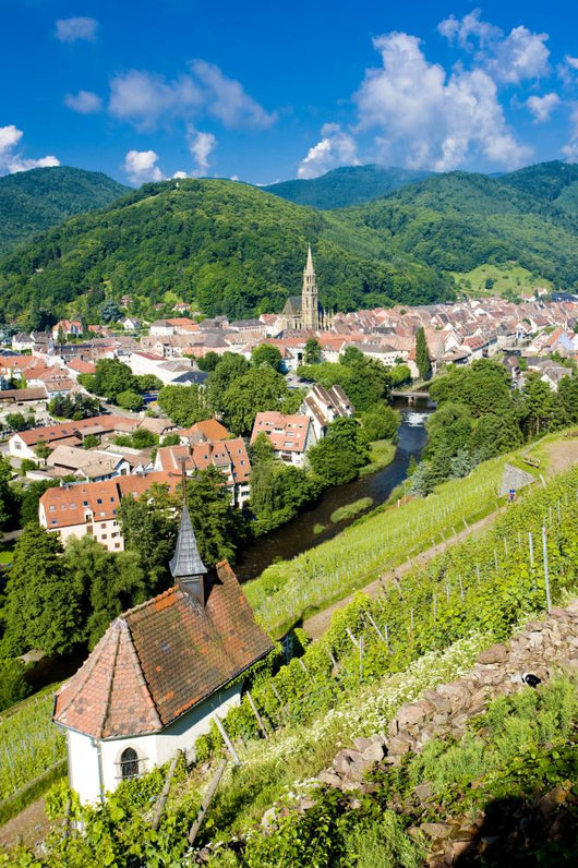 grand cru vineyard and Chapel of St. Urban, Thann, Alsace, Franc Wall Mural