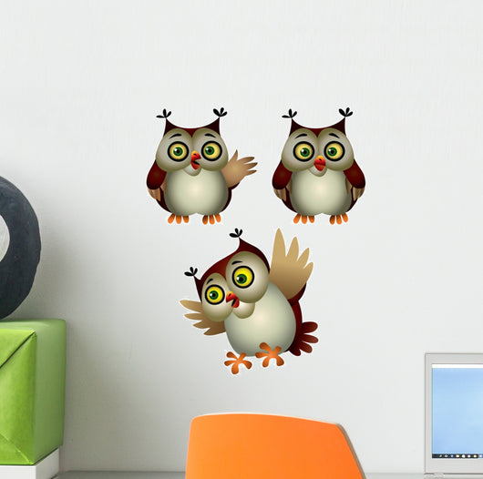Owl