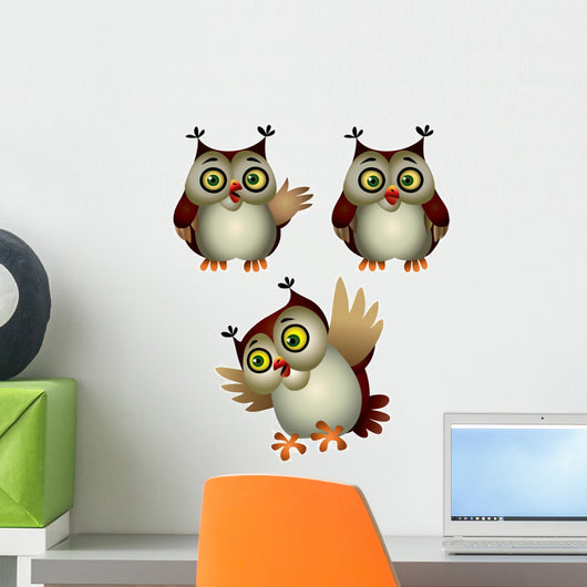 Owl