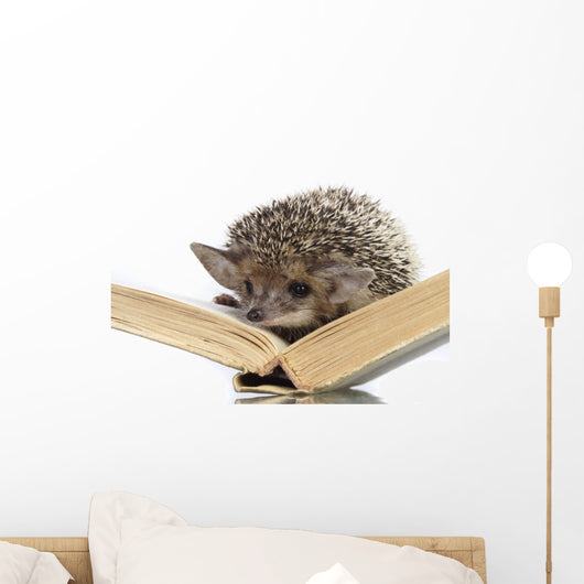 Hedgehog on Book Wall Decal