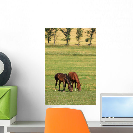 Grazing Horses Summer Landscape Wall Mural