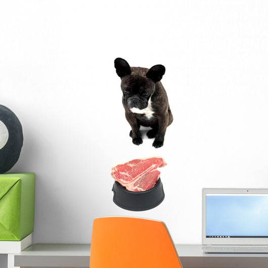 French Bulldog Wall Decal