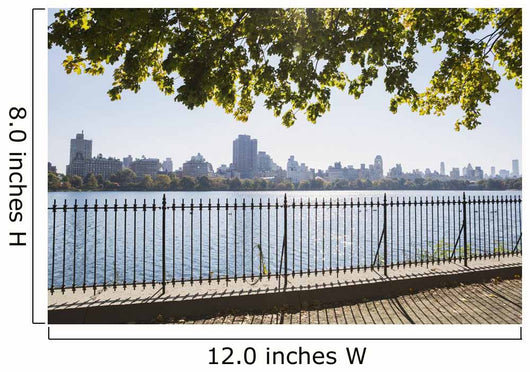 New York City skyline from Central Park Wall Mural