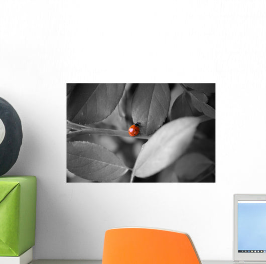 Ladybug Wall Mural
