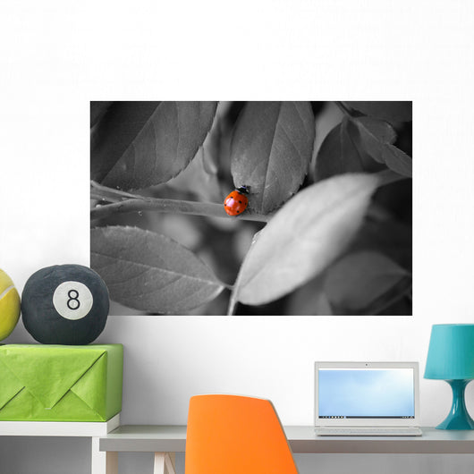 Ladybug Wall Mural