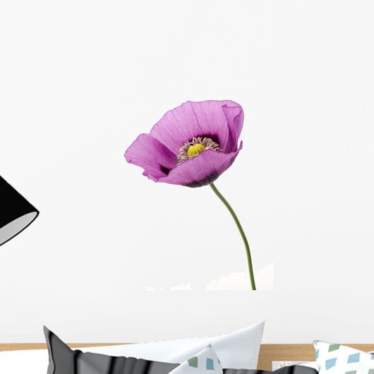 Poppy flower Wall Decal