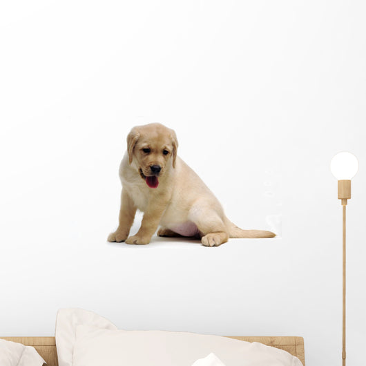 24162610 Wall Decal