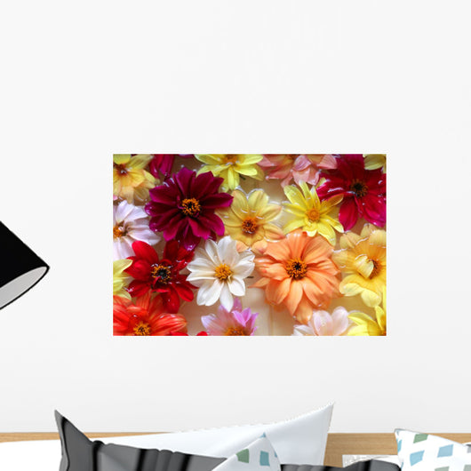 Flowers on the Water Wall Mural