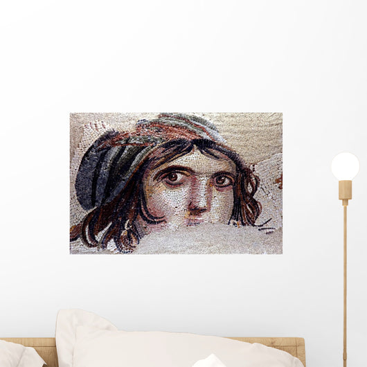 Zeugma Mosaics Wall Mural