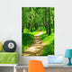 Green Forest Wall Decal