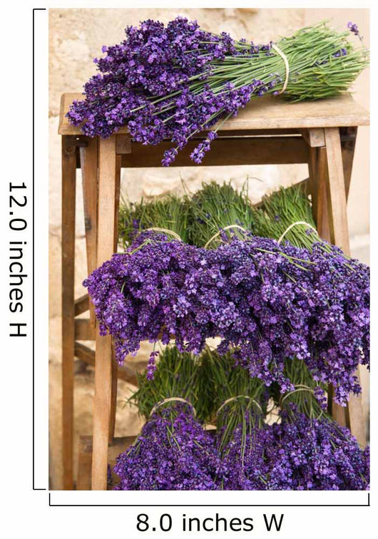 Lavender Bunches Wall Mural