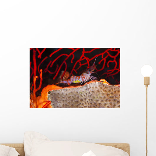 Yellow Eggs This Female Wall Decal