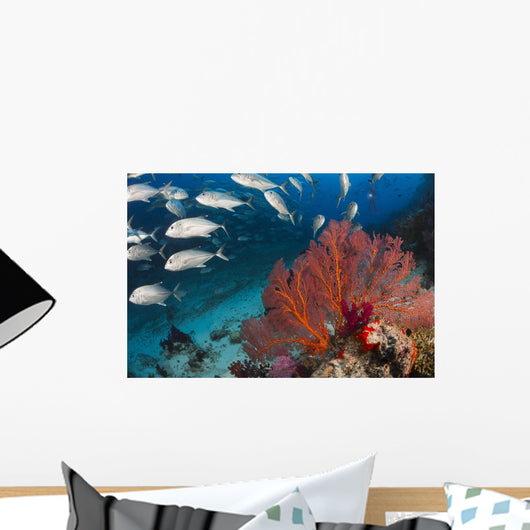 Alconarian and Gorgonian Coral Wall Decal2