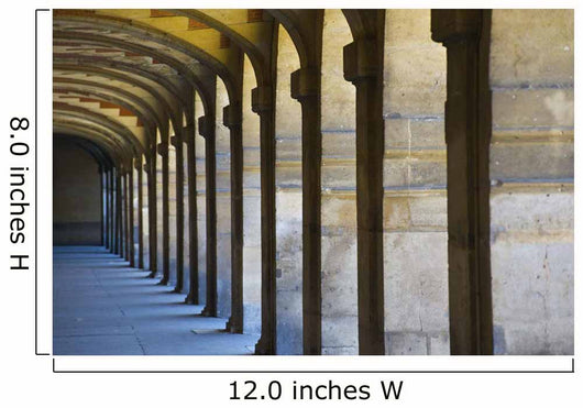 Place des Vosges Wall Mural