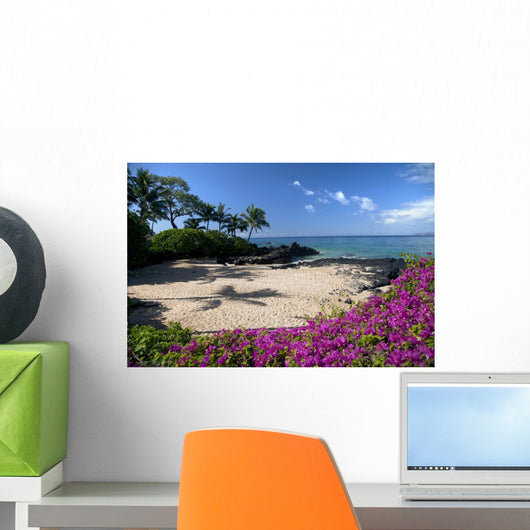 Hawaii, Maui, Makena, Bougainvillea flowers at secret beach Wall Mural