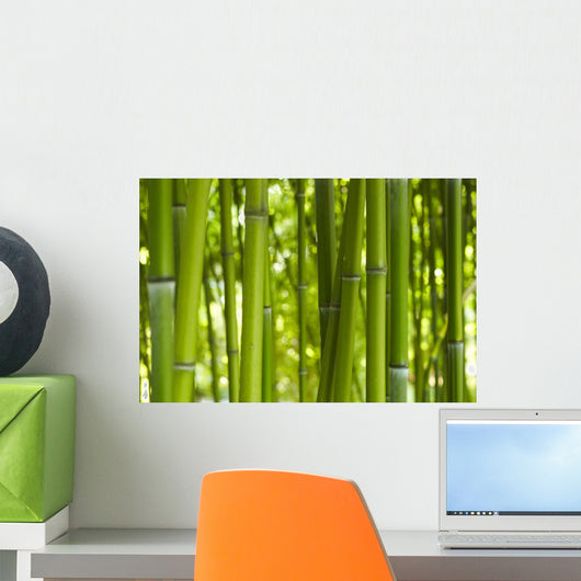 Bamboo Bamboo 06 Wall Mural