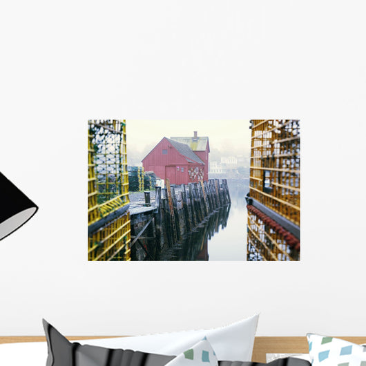 Framed by trap cages Wall Mural