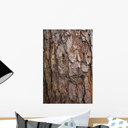 tree surface Wall Mural