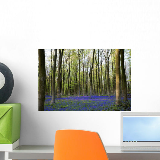 Bluebells in the woods Wall Mural