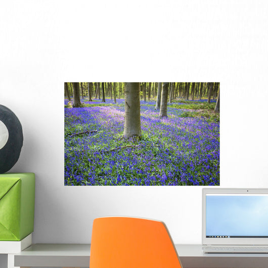 Bluebells in the woods Wall Mural