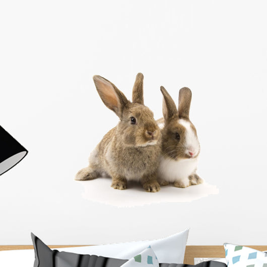 Two adorable rabbits Wall Decal
