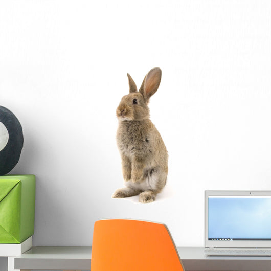 Adorable Rabbit White Wall Decal