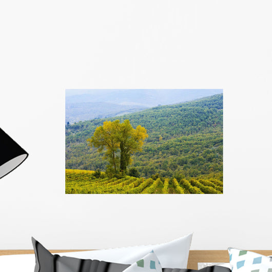 Vineyard Wall Mural
