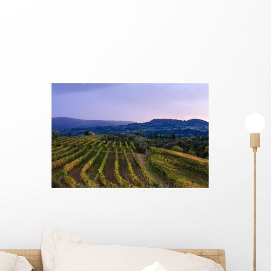 Vineyard, near Ulignano Wall Mural