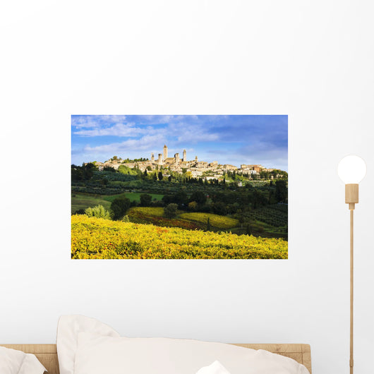 Vineyards and San Gimignano Wall Mural