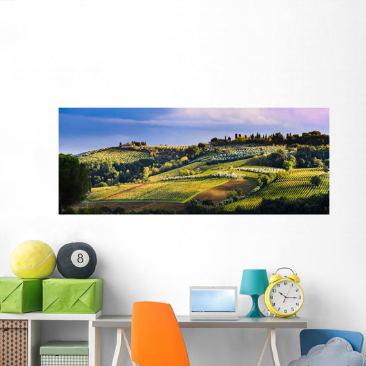 Vineyard, near San Gimignano Wall Mural
