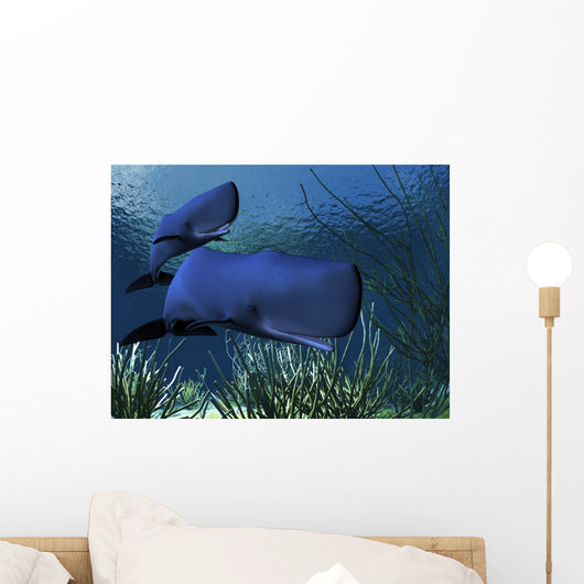 Sperm Whales