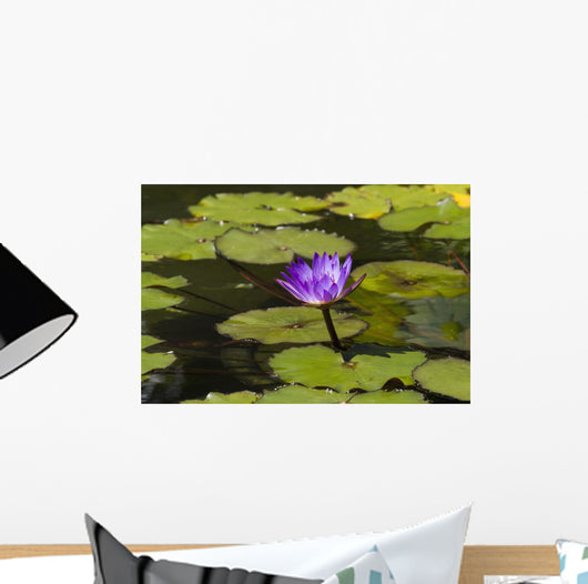Water lily in the Bethesda Fountain in Central Park Wall Mural