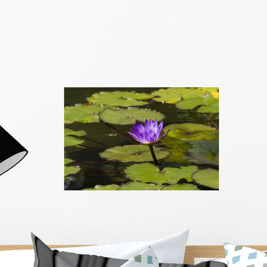 Water lily in the Bethesda Fountain in Central Park Wall Mural