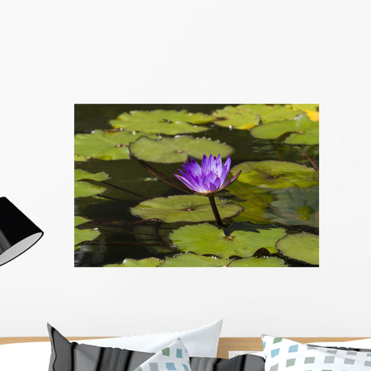 Water lily in the Bethesda Fountain in Central Park Wall Mural